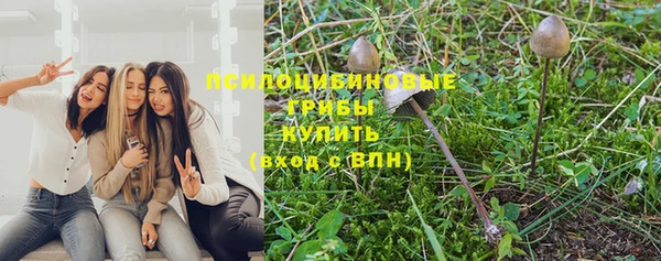 ГАЛЛЮЦИНОГЕННЫЕ ГРИБЫ Балабаново