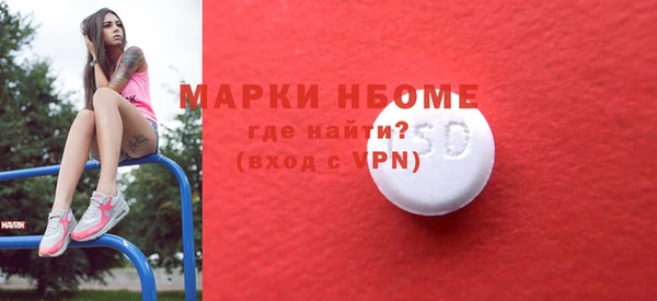 индика Балахна