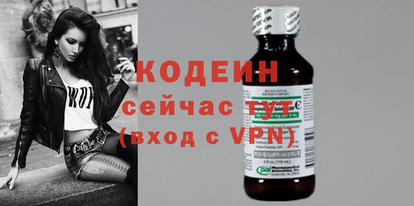 индика Баксан