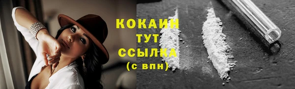 индика Балахна