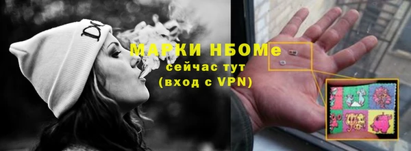 индика Баксан