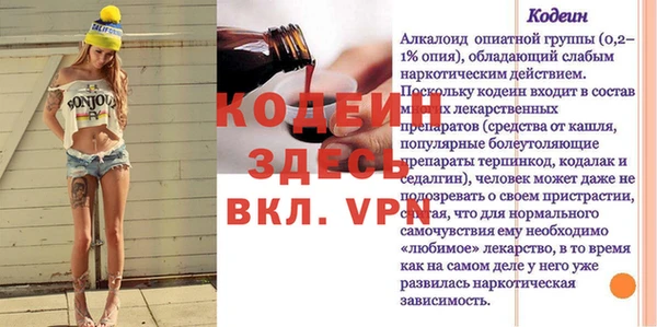индика Баксан
