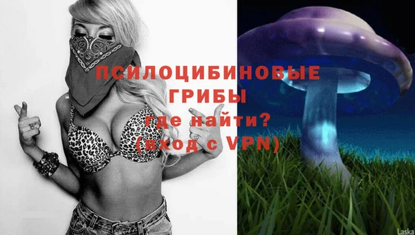 марихуана Белокуриха