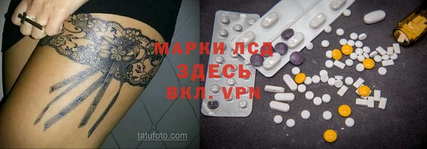 индика Баксан