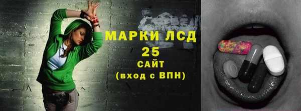 индика Балахна