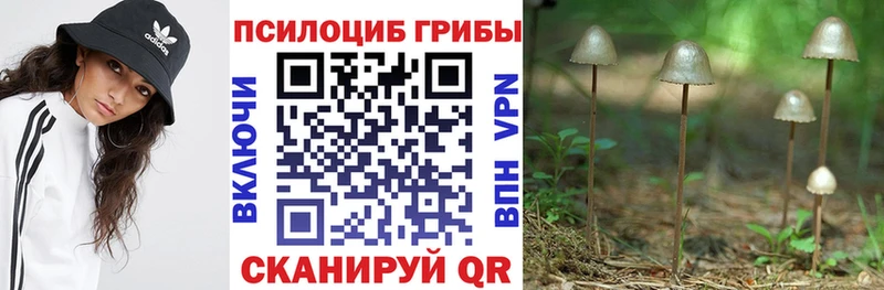 ссылка на мегу рабочий сайт  Семикаракорск  Галлюциногенные грибы Psilocybe 